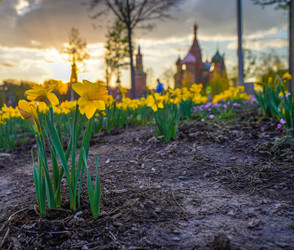 Similar image 21426332