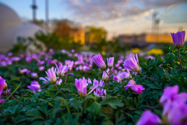 Similar image 21426333