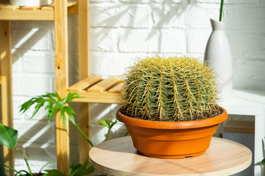 Similar image 21431149