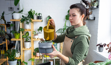 Similar image 21431150