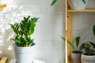 Similar image 21431151