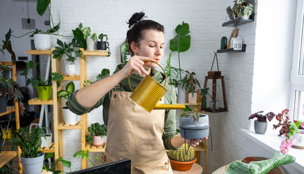 Similar image 21431152