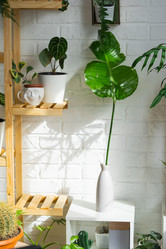 Similar image 21431153