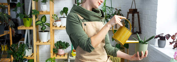 Similar image 21431154