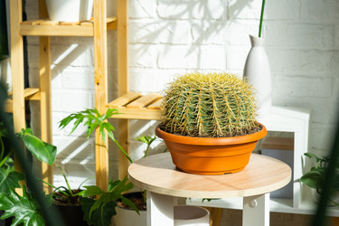 Similar image 21431155