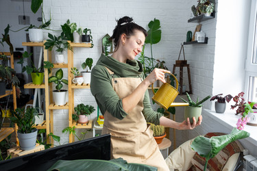 Similar image 21431158