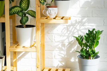 Similar image 21431161