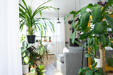 Similar image 21431163