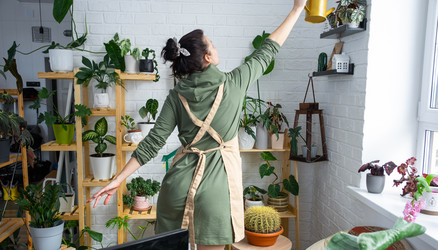 Similar image 21431166