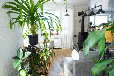 Similar image 21431167