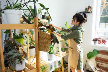 Similar image 21431173