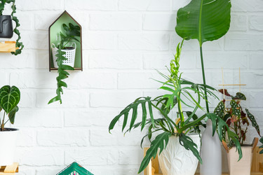 Similar image 21431178