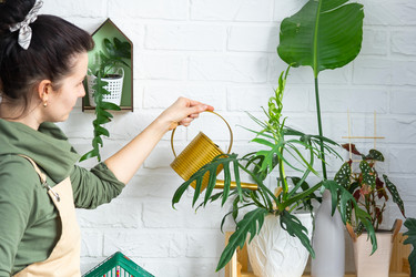 Similar image 21431180