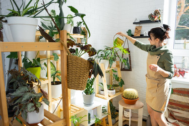 Similar image 21431181