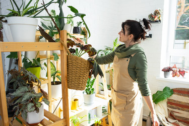 Similar image 21431183