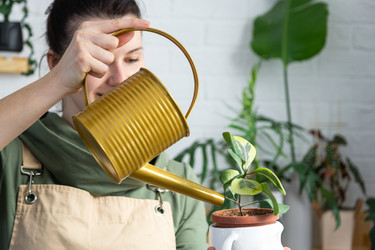 Similar image 21431184