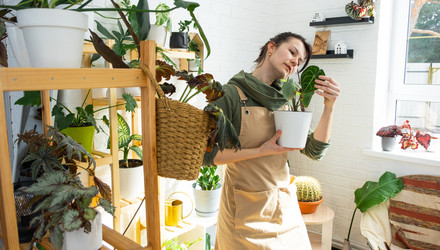 Similar image 21431185