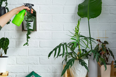 Similar image 21431186