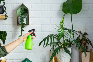 Similar image 21431188