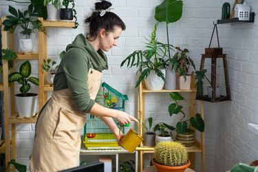 Similar image 21431194