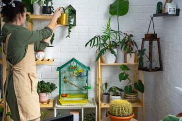 Similar image 21431198