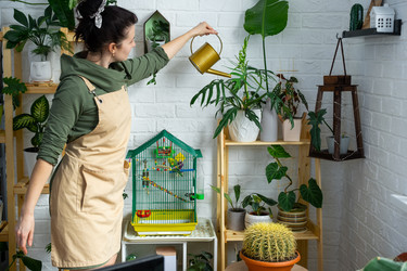 Similar image 21431200