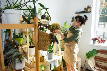 Similar image 21431203