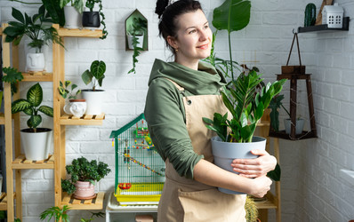 Similar image 21431209