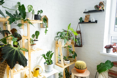 Similar image 21431210