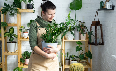 Similar image 21431211