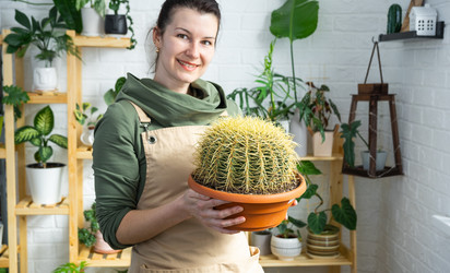 Similar image 21431215