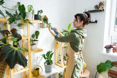 Similar image 21431216