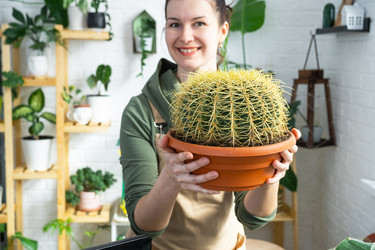 Similar image 21431217