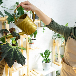 Similar image 21431226