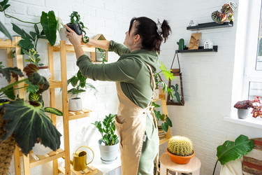 Similar image 21431228