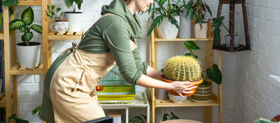 Similar image 21431229