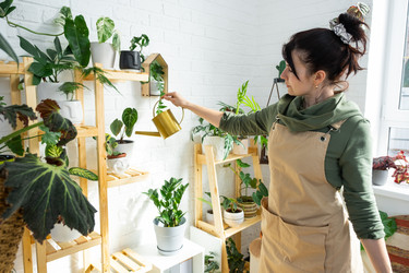 Similar image 21431230