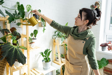 Similar image 21431877