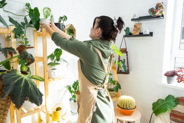 Similar image 21431881