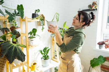 Similar image 21431882