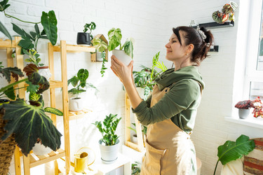 Similar image 21431883