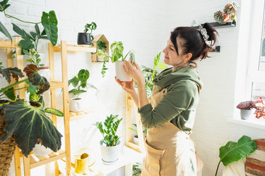 Similar image 21431884