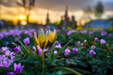 Similar image 21426334