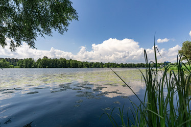 Similar image 21425863