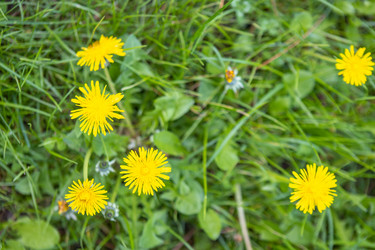 Similar image 21425665