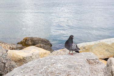 Similar image 21425666