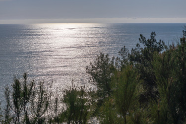 Similar image 21425671