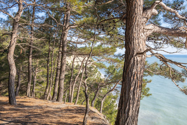 Similar image 21425672