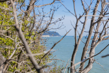 Similar image 21425673