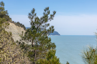 Similar image 21425681